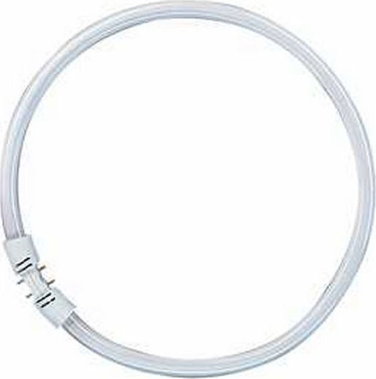 SYLVANIA Λάμπα Κυκλική Τ5 22W 840 Fc 1800lm 5410288005218